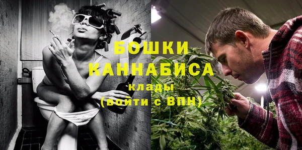 apvp Верея