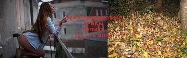 apvp Верея